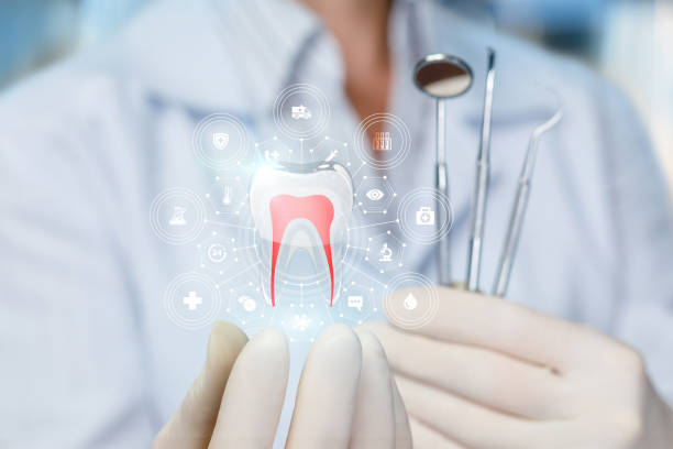 Best Preventive Dentistry  in West Park, NJ